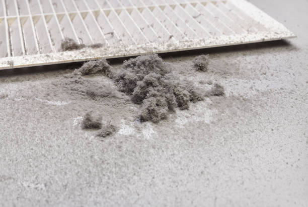 Best HVAC Duct Inspection Services  in Fullerton, NE
