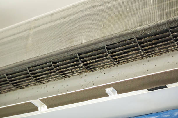 Best Residential Air Duct Cleaning  in Fullerton, NE